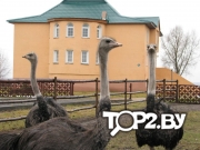 Споровская. Агроусадьба Березовский район, Брестская область.